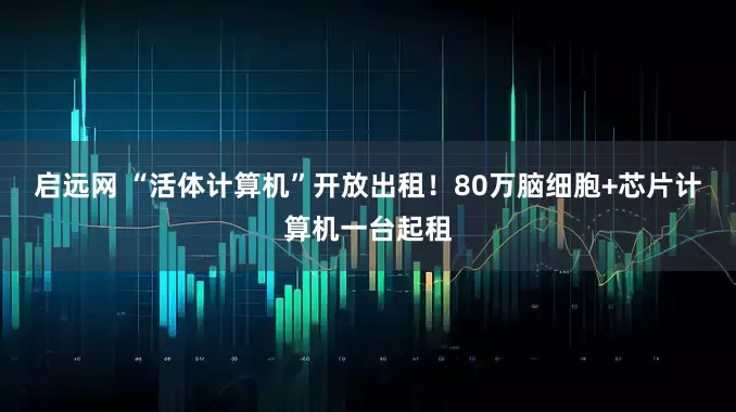 启远网 “活体计算机”开放出租！80万脑细胞+芯片计算机一台起租