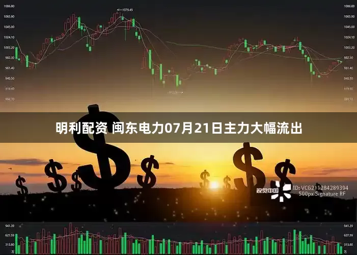 明利配资 闽东电力07月21日主力大幅流出