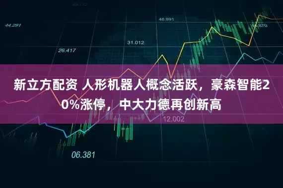 新立方配资 人形机器人概念活跃，豪森智能20%涨停，中大力德再创新高